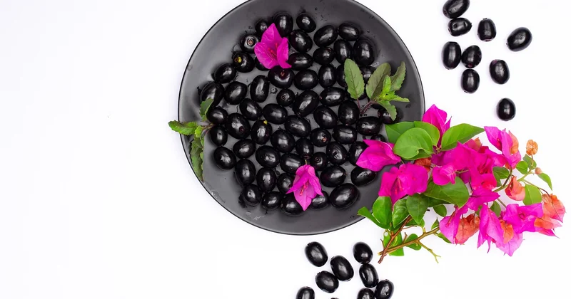 Choisir ses olives : le vrai secret de la recette provençale
