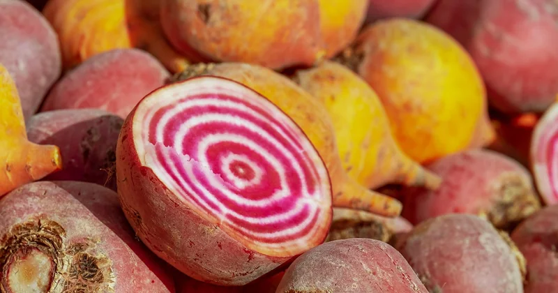 Comment choisir ses légumes sans se ruiner (ni y passer la matinée)